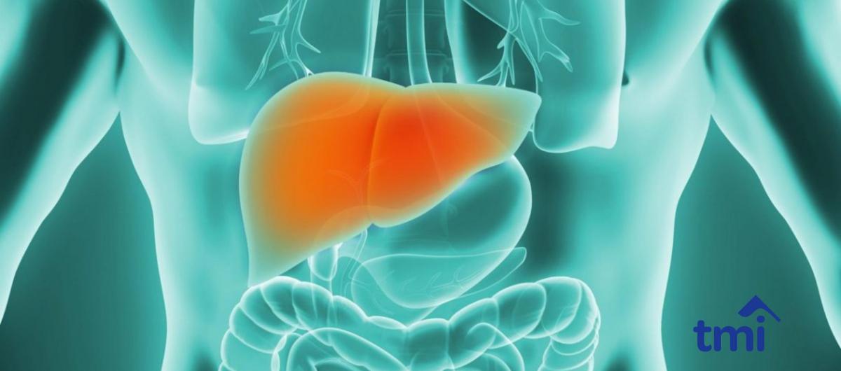 Liver Cancer Treatment at Different Stages